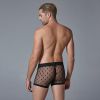 Luca Star Boxer-Black S/M