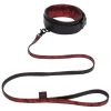 Fifty Shades of Grey Sweet Anticipation Collar and Lead