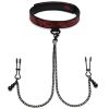 Fifty Shades of Grey Sweet Anticipation Collar Nipple Clamps