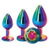Rear Assets Trainer Kit-Rainbow