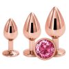 Rear Assets Trainer Kit-Rose Gold