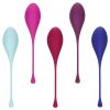Kegel Training Set 5pc