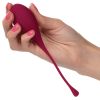 Kegel Training Set 5pc