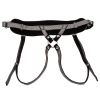 Her Royal Harness The Regal Princess-Pewter