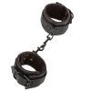 Boundless Ankle Cuffs