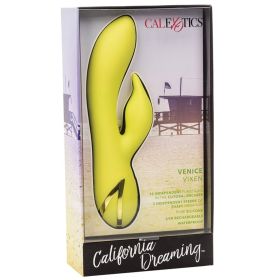 California Dreaming Venice Vixen **