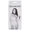 S&M Fishnet Collar and Leash