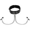 Sportsheets Collar with Nipple Clamps