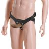 Sportsheets Everlaster Harness-Stud